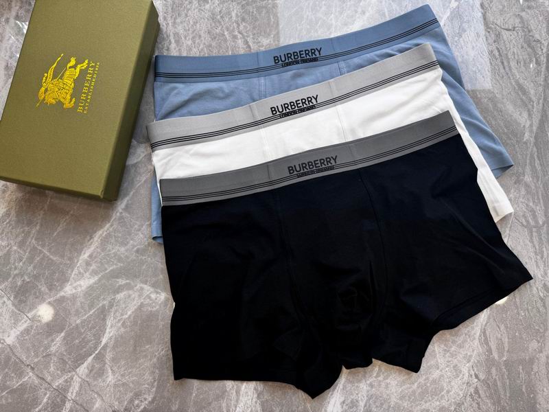 Burberry boxer L-4XL 12